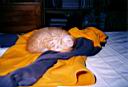13 - Dormido (2).jpg